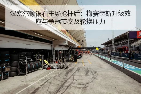 han-mi-er-dun-yin-shi-zhu-chang-qiang-gan-hou-mei-sai-de-si-sheng-ji-xiao-ying-yu-zheng-guan-jie-zou-ji-lun-huan-ya-li-2-412.jpg